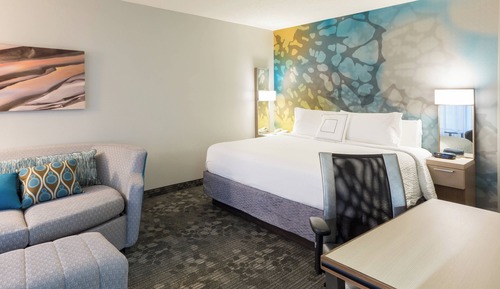 Room, 1 King Bed with Sofa bed