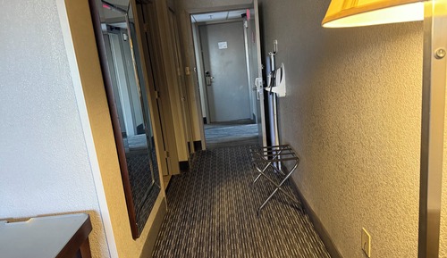 Room, 1 King Bed, Roll-in Shower