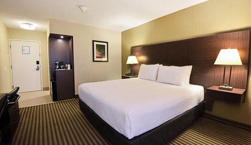 Premier Room, 1 King Bed
