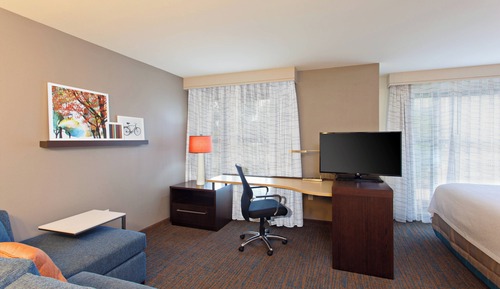Studio, 1 King Bed with Sofa bed (Mobility/Hearing Accessible, Tub)