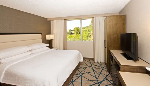 One King Bed, Non-Smoking, Accessible