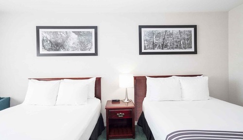 Standard Room, 2 Double Beds