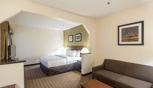 Suite, 1 King Bed with Sofa bed, Jetted Tub