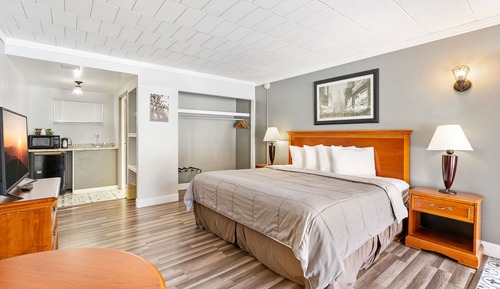 Premium Single Room, 1 King Bed, Non Smoking