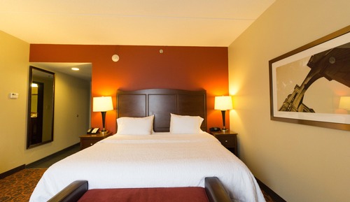 Room, 1 King Bed, Accessible, Non Smoking (Roll-in Shower)