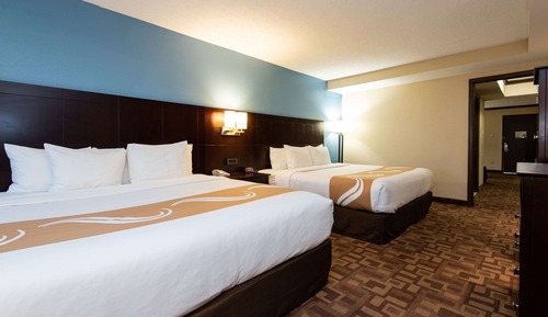 Family Suite (2 King and 1 Sofa Bed)
