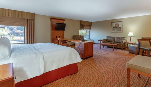 Suite, 1 King Bed, Non Smoking