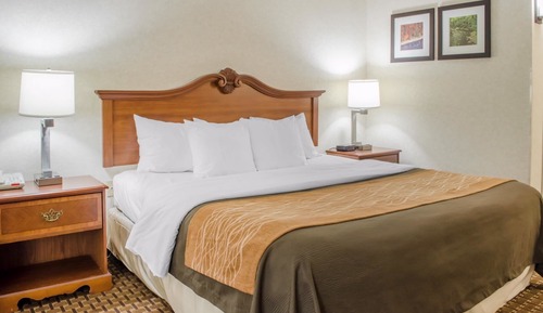 Standard Room, 1 King Bed with Sofa bed, Non Smoking