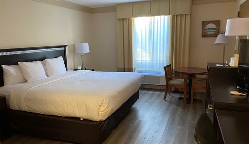 Room, 1 King Bed, Accessible, Non Smoking (Roll in Shower)