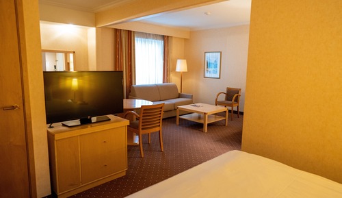 Premium Room, 1 King Bed with Sofa bed