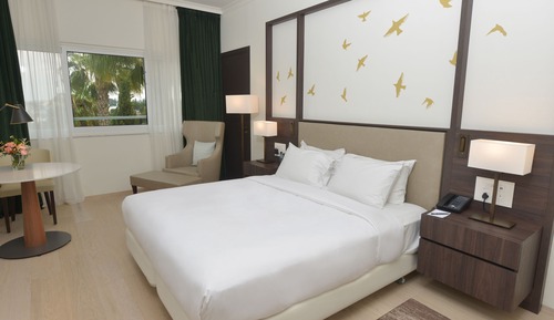 Room, 1 King Bed