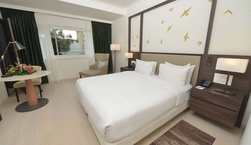 Suite, 1 Bedroom