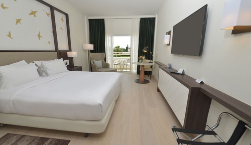 Executive Room, 1 King Bed