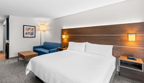 Suite, 1 King Bed with Sofa bed