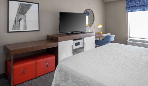 Room, 1 King Bed, Accessible, Non Smoking (Roll-in Shower)