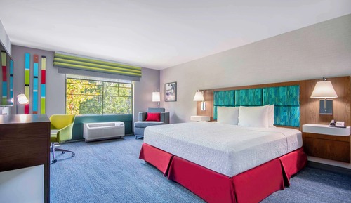Room, 1 King Bed, Accessible (Roll-In Shower)