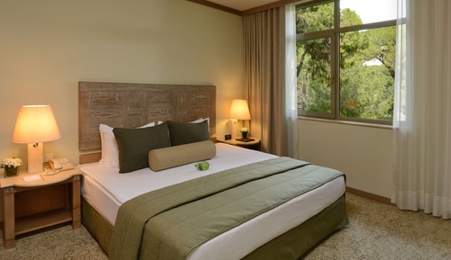 Suite, 1 Bedroom