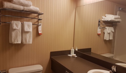 Standard Room, 1 King Bed with Sofa bed, Non Smoking (Ground Floor)