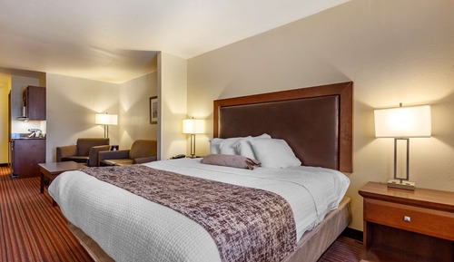 Business Room, 1 King Bed, Non Smoking, Refrigerator & Microwave