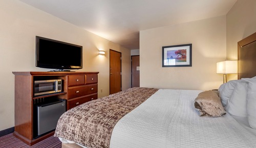 Standard Room, 1 King Bed, Accessible, Refrigerator & Microwave