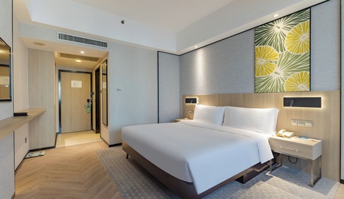 1 King Bed Premium Lounge Access