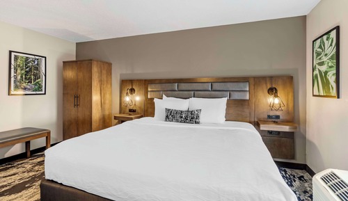 Suite, 1 King Bed with Sofa bed, Non Smoking, Kitchen (with Sofabed)