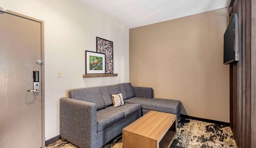 Suite, 1 King Bed with Sofa bed, Non Smoking, Kitchen (with Sofabed)