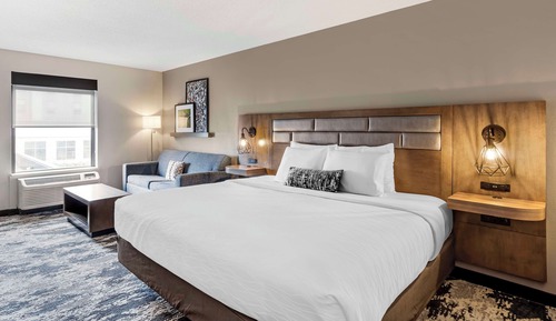 Standard Room, 1 King Bed with Sofa bed, Non Smoking, Refrigerator & Microwave (with Sofabed)