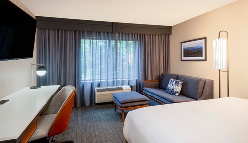 Room, 1 King Bed with Sofa bed, Non Smoking (Mobility/Hearing Access, Roll-In Shwr)