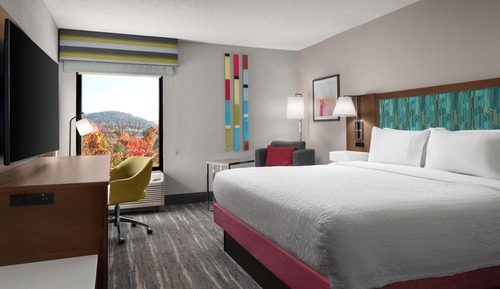 Room, 1 King Bed