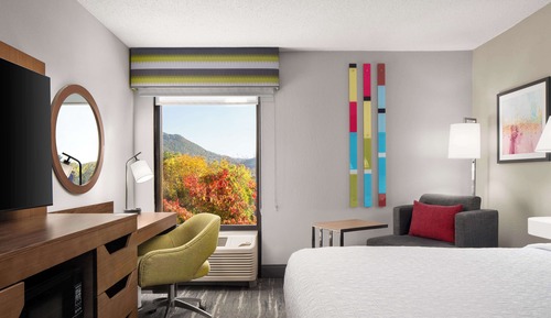 Room, 1 King Bed, Accessible (Roll-in Shower)