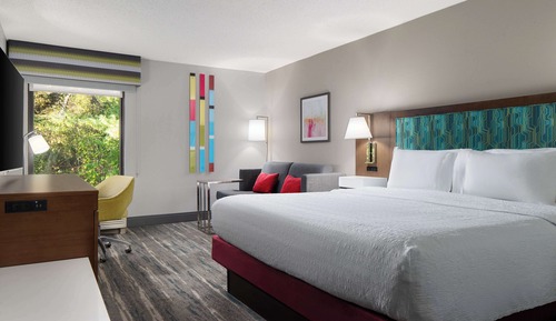 Room, 1 King Bed, Accessible, Bathtub