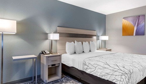 Standard Room, 1 King Bed, Accessible, Refrigerator & Microwave (Pet Friendly)