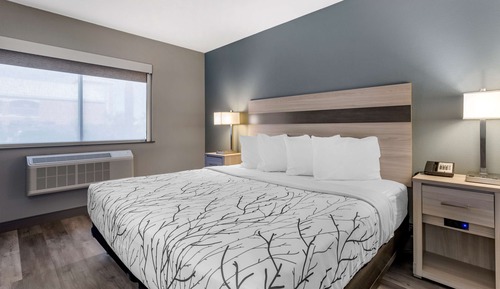 Standard Room, 1 Queen Bed, Accessible, Refrigerator & Microwave (Pet Friendly)