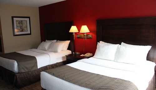 Two Queen Beds Pet Friendly