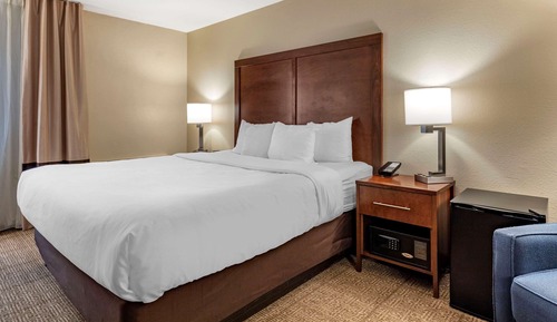 Standard Room, 1 King Bed, Non Smoking