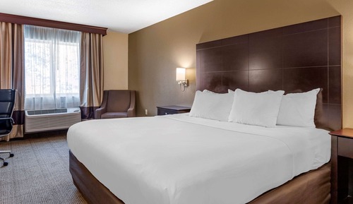 Standard Room, 1 King Bed, Non Smoking