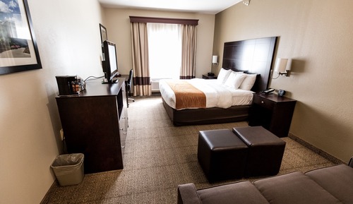 Standard Room, 1 King Bed with Sofa bed, Accessible, Non Smoking (Roll-In Shower)