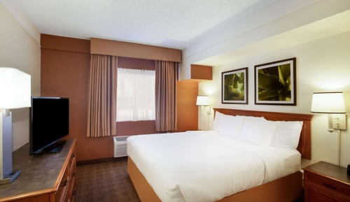 Room, 1 King Bed, Non Smoking
