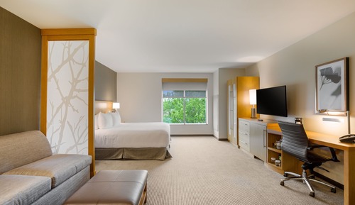 Room, 1 King Bed with Sofa bed, Accessible, Bathtub