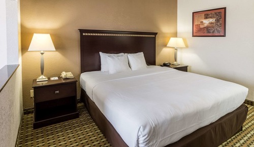 Standard Suite ( 1 King Bed, Non Smoking)