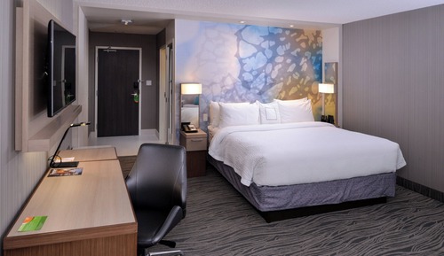 Room, 1 King Bed with Sofa bed