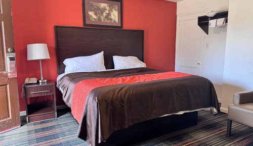 Room, 1 King Bed, Smoking