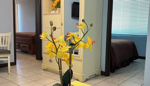 Master Suite, Family Room