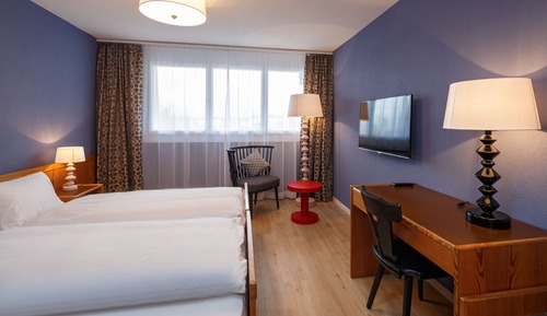 Comfort Double or Twin Room, 2 Twin Beds, Mountain View