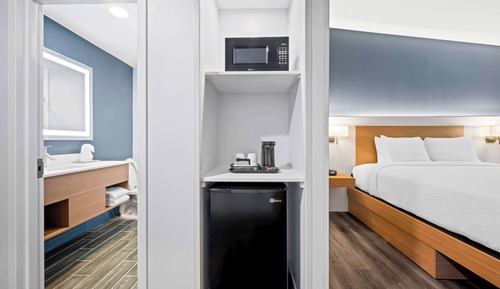 Standard Room, 1 King Bed, Accessible, Non Smoking (Walk-in Shower)