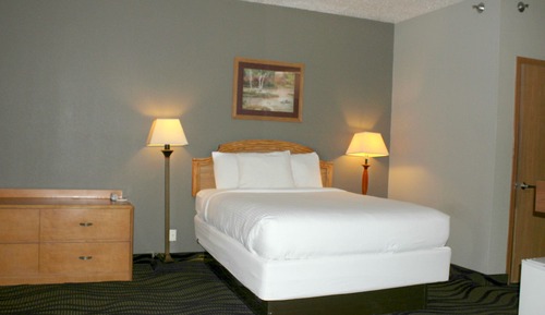 Standard Room, 1 Queen Bed, Refrigerator