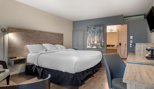 Standard Room, 1 King Bed, Accessible, Non Smoking (Walk-in Shower)