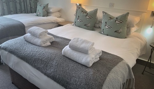 Family Double or Twin Room