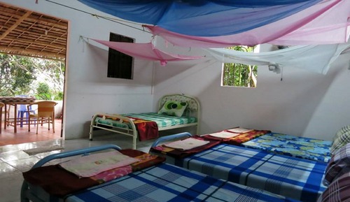 Single Bed in Shared Dormitory